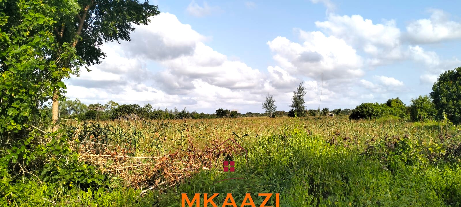 Prime 1-acre freehold plots for sale in Ndeu, Hindi, Lamu County with fertile virgin land, excellent road access, and strong investment potential.