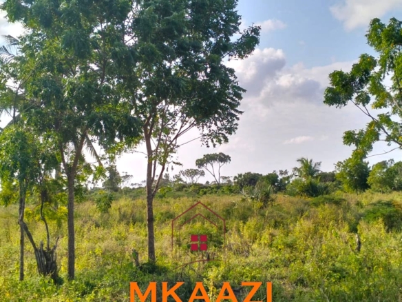 Prime 1-acre freehold plots for sale in Ndeu, Hindi, Lamu County with fertile virgin land, excellent road access, and strong investment potential.