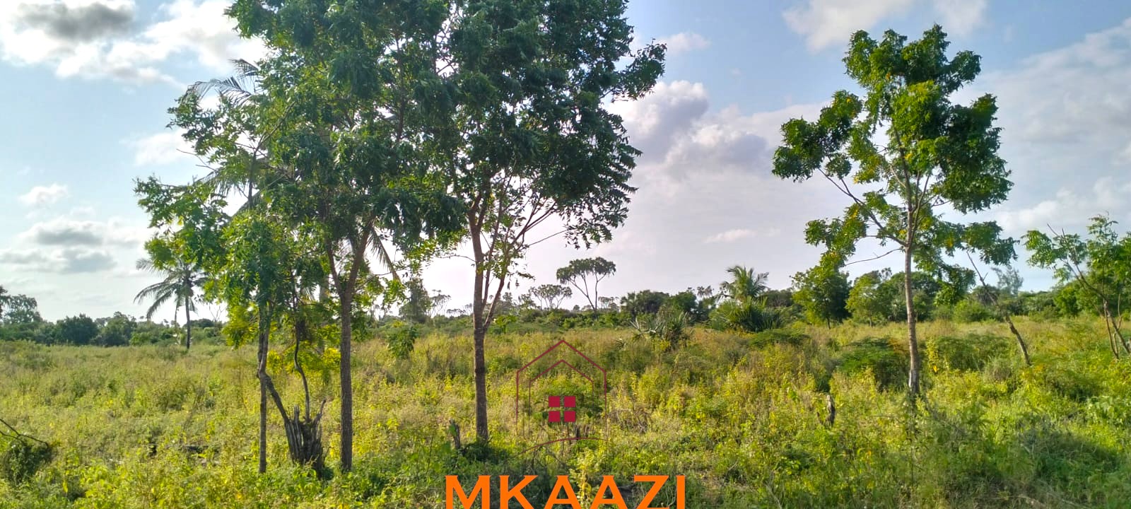 1 Acre Freehold Plots for Sale in Hindi, Lamu Prime 1-acre freehold plots for sale in Ndeu, Hindi, Lamu County with fertile virgin land, excellent road access, and strong investment potential.