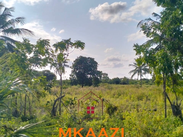 Prime 1-acre freehold plots for sale in Ndeu, Hindi, Lamu County with fertile virgin land, excellent road access, and strong investment potential.