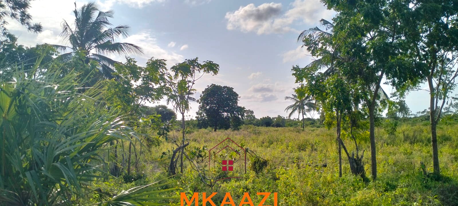 1 Acre Freehold Plots for Sale in Hindi, Lamu Prime 1-acre freehold plots for sale in Ndeu, Hindi, Lamu County with fertile virgin land, excellent road access, and strong investment potential.