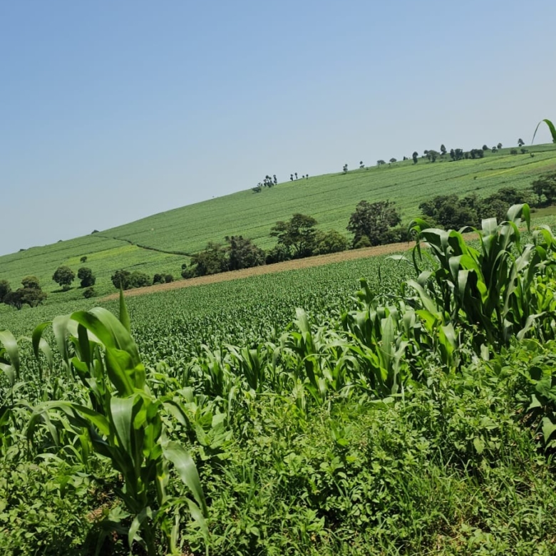 500-acre freehold agricultural land for sale in Gwakahiga, Subukia, Nakuru County with permanent river frontage, dams, fertile soils, and four clean title deeds.