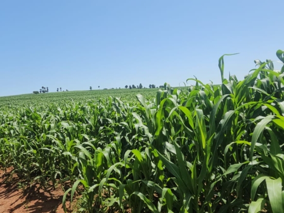 500-acre freehold agricultural land for sale in Gwakahiga, Subukia, Nakuru County with permanent river frontage, dams, fertile soils, and four clean title deeds.