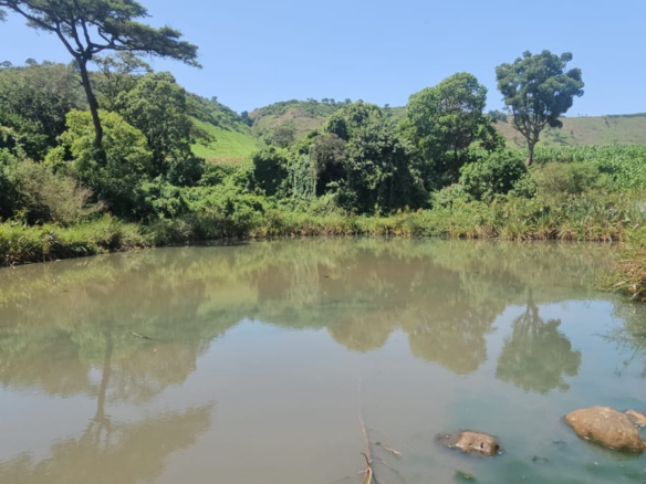 500-acre freehold agricultural land for sale in Gwakahiga, Subukia, Nakuru County with permanent river frontage, dams, fertile soils, and four clean title deeds.