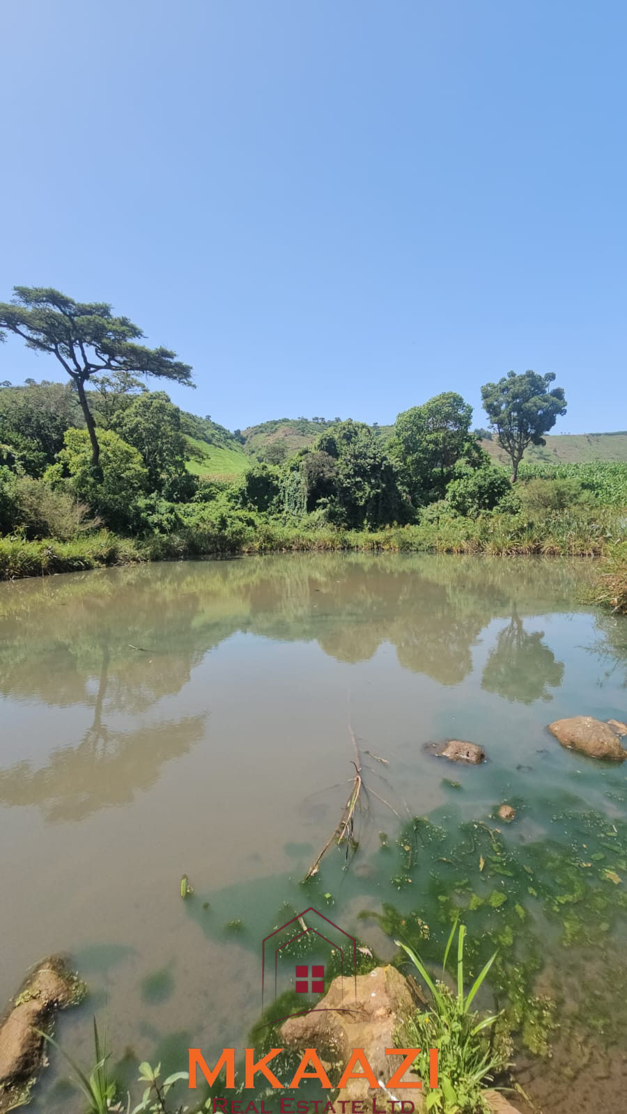 500 Acre Freehold Farm for Sale in Subukia 500-acre freehold agricultural land for sale in Gwakahiga, Subukia, Nakuru County with permanent river frontage, dams, fertile soils, and four clean title deeds.