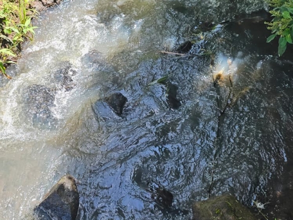 500-acre freehold agricultural land for sale in Gwakahiga, Subukia, Nakuru County with permanent river frontage, dams, fertile soils, and four clean title deeds.