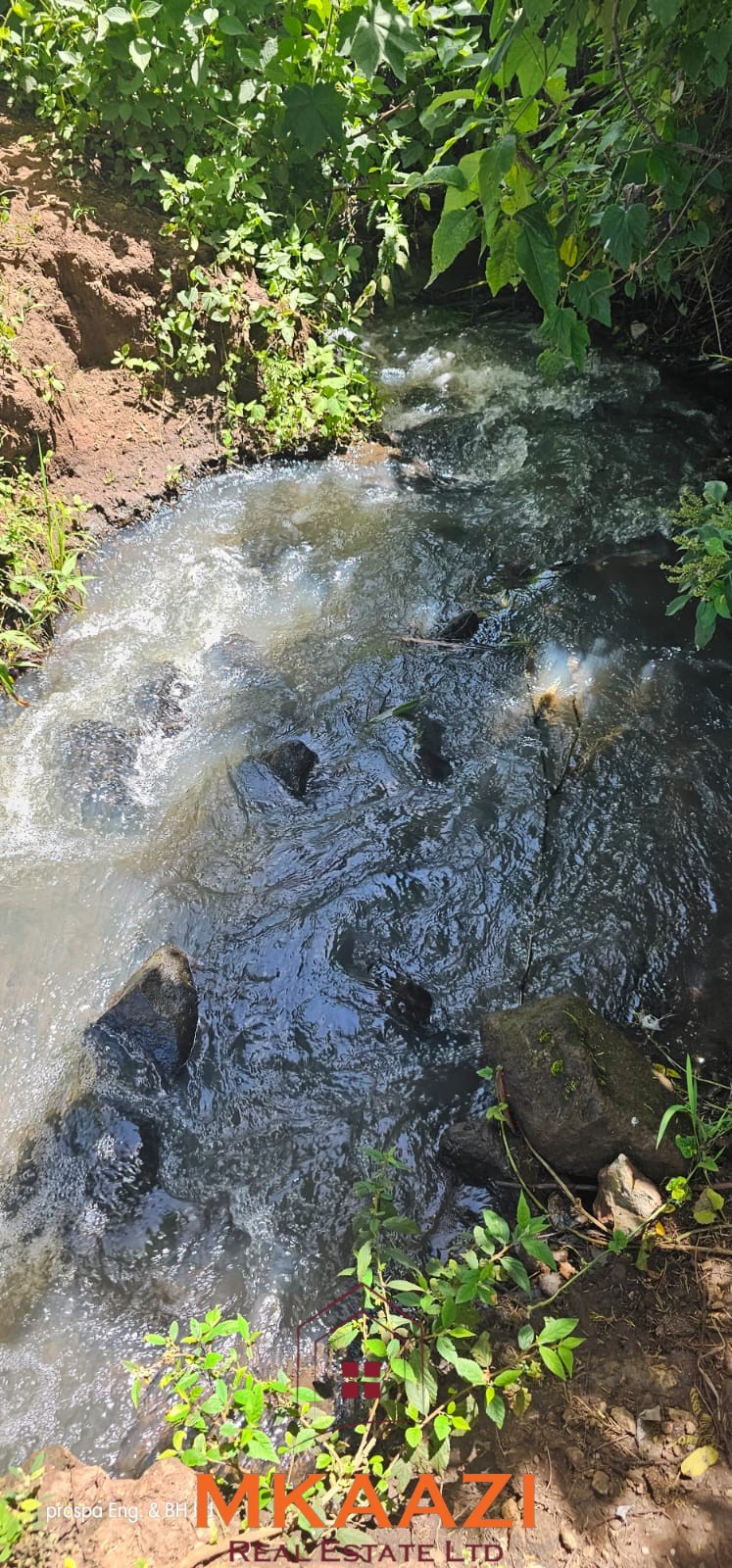 500 Acre Freehold Farm for Sale in Subukia 500-acre freehold agricultural land for sale in Gwakahiga, Subukia, Nakuru County with permanent river frontage, dams, fertile soils, and four clean title deeds.