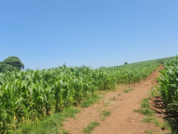 500-acre freehold agricultural land for sale in Gwakahiga, Subukia, Nakuru County with permanent river frontage, dams, fertile soils, and four clean title deeds.