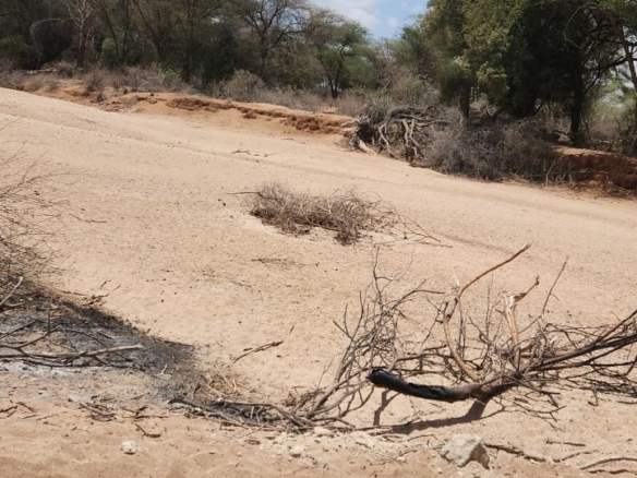 100,986.71-acre freehold ranch and development land for sale in Archers Post, Samburu with permanent rivers, airstrip, high groundwater potential, and ideal for conservation, ranching, tourism, and agriculture.