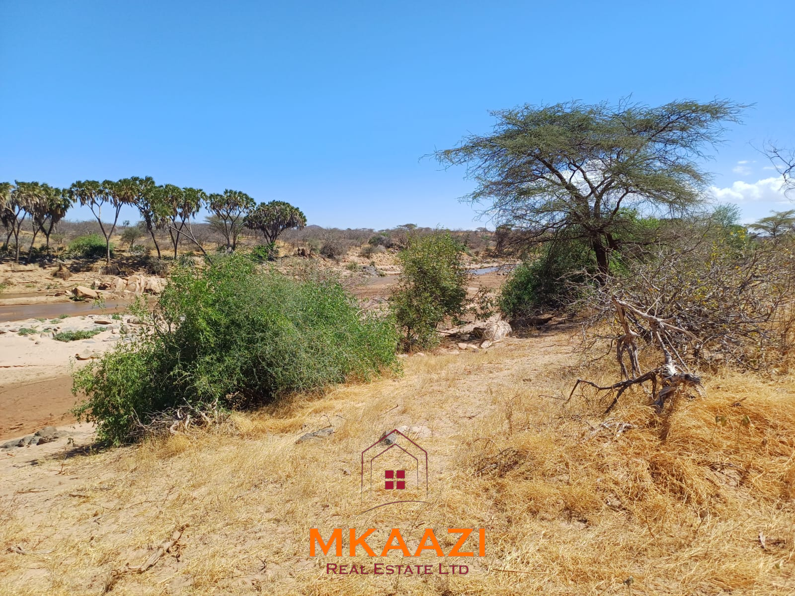 100,986 Acre Ranch for Sale in Samburu 100,986.71-acre freehold ranch and development land for sale in Archers Post, Samburu with permanent rivers, airstrip, high groundwater potential, and ideal for conservation, ranching, tourism, and agriculture.