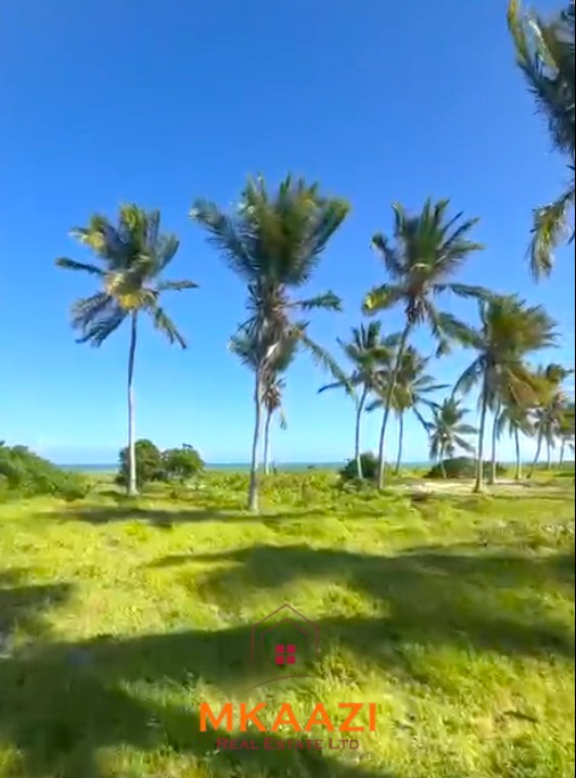 Prime 1.8-acre beachfront plot for sale in Mayungu featuring white sandy beach frontage, flat terrain, mature coconut trees, and a ready title.