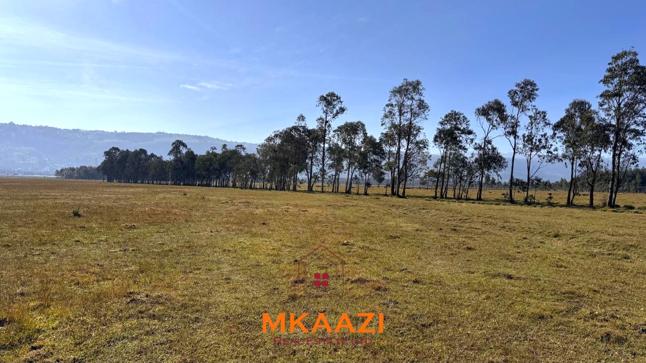 8 Acres Flat Land for Sale in Olborosat Prime 8-acre flat land for sale in Olborosat near the Aberdares, featuring natural grass, mature trees, a single title, and nearby power and water.