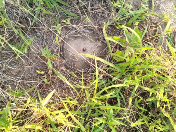 5 acres for sale in Kauthara near Lamu Port, 400m from tarmac. Positioned within the LAPSSET corridor, ideal for logistics, commercial development, tourism and land banking.