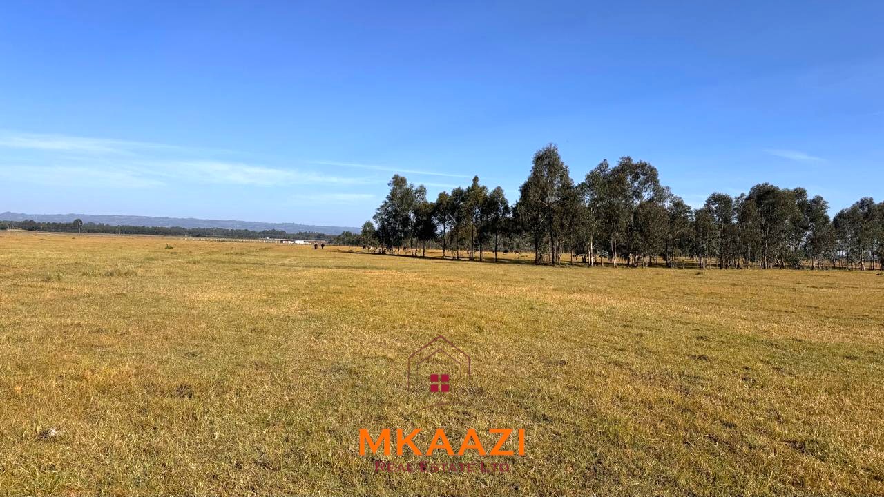 8 Acres Flat Land for Sale in Olborosat Prime 8-acre flat land for sale in Olborosat near the Aberdares, featuring natural grass, mature trees, a single title, and nearby power and water.