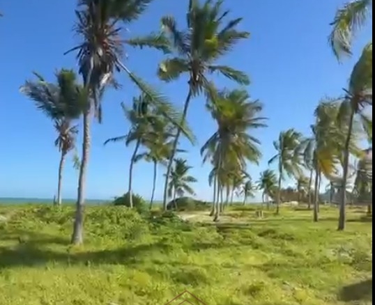 Prime 1.8-acre beachfront plot for sale in Mayungu featuring white sandy beach frontage, flat terrain, mature coconut trees, and a ready title.