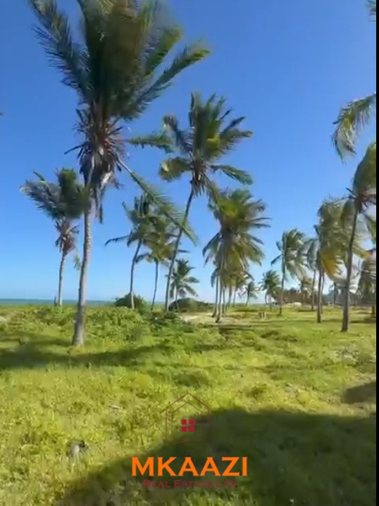 Prime 1.8-acre beachfront plot for sale in Mayungu featuring white sandy beach frontage, flat terrain, mature coconut trees, and a ready title.