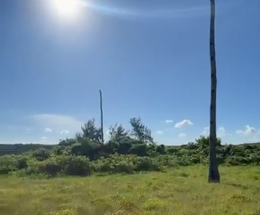 Prime 1.8-acre beachfront plot for sale in Mayungu featuring white sandy beach frontage, flat terrain, mature coconut trees, and a ready title.