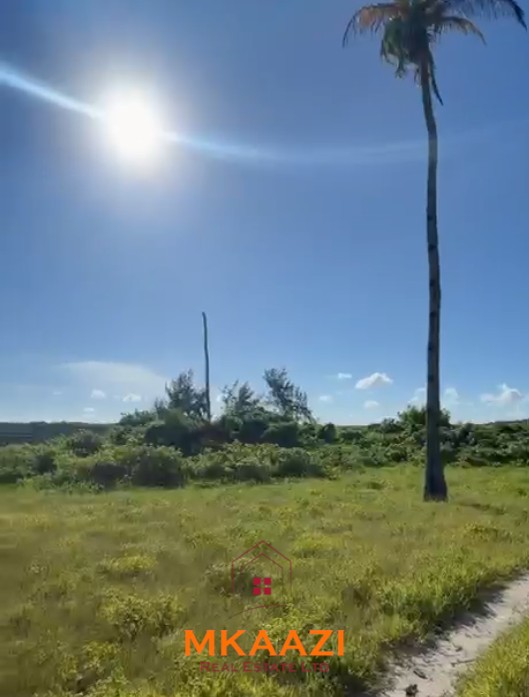 Prime 1.8-acre beachfront plot for sale in Mayungu featuring white sandy beach frontage, flat terrain, mature coconut trees, and a ready title.