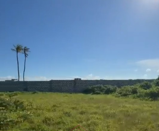Prime 1.8-acre beachfront plot for sale in Mayungu featuring white sandy beach frontage, flat terrain, mature coconut trees, and a ready title.