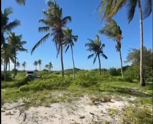 Prime 1.8-acre beachfront plot for sale in Mayungu featuring white sandy beach frontage, flat terrain, mature coconut trees, and a ready title.