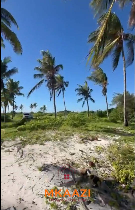 Prime 1.8-acre beachfront plot for sale in Mayungu featuring white sandy beach frontage, flat terrain, mature coconut trees, and a ready title.