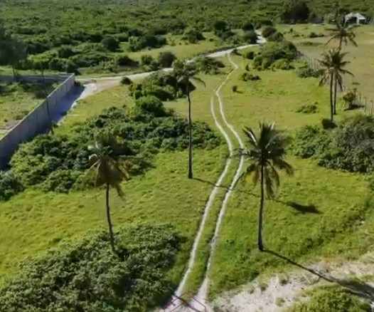 Prime 1.8-acre beachfront plot for sale in Mayungu featuring white sandy beach frontage, flat terrain, mature coconut trees, and a ready title.