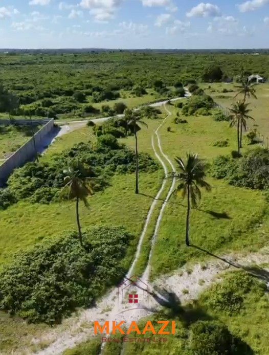 Prime 1.8-acre beachfront plot for sale in Mayungu featuring white sandy beach frontage, flat terrain, mature coconut trees, and a ready title.