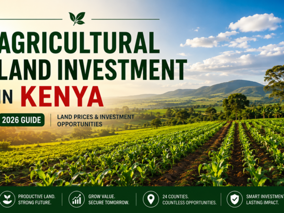 Agricultural Land Investment in Kenya 2026