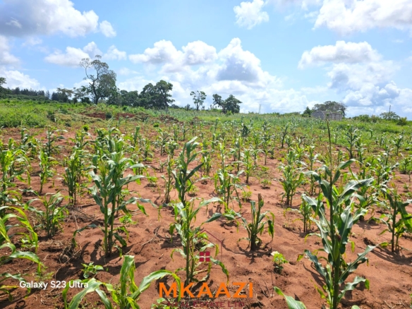 50×100 freehold plots for sale at Arabuko Heights Phase 3 in Kakuyuni with ready title deeds, piped water, easy road access, and beautiful views.