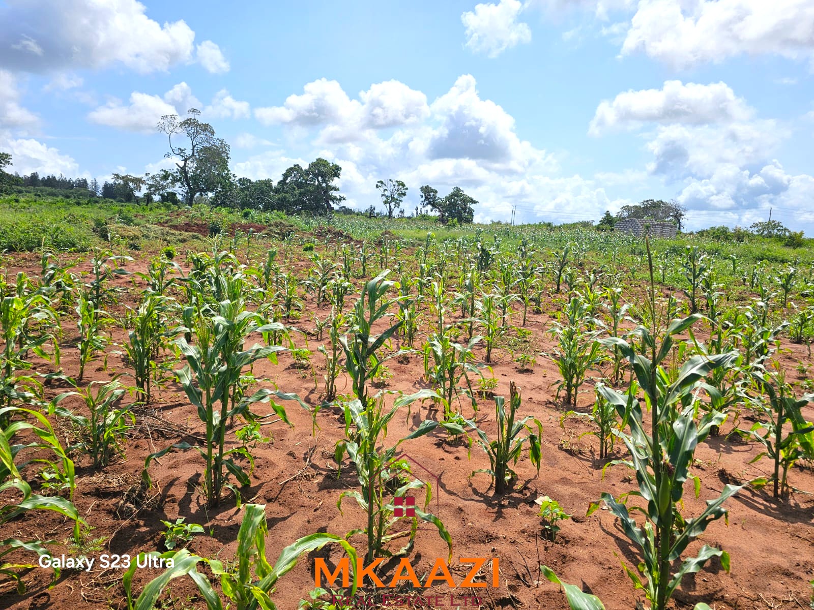 50×100 Plots for Sale in Kakuyuni | KES 499K 50×100 freehold plots for sale at Arabuko Heights Phase 3 in Kakuyuni with ready title deeds, piped water, easy road access, and beautiful views.