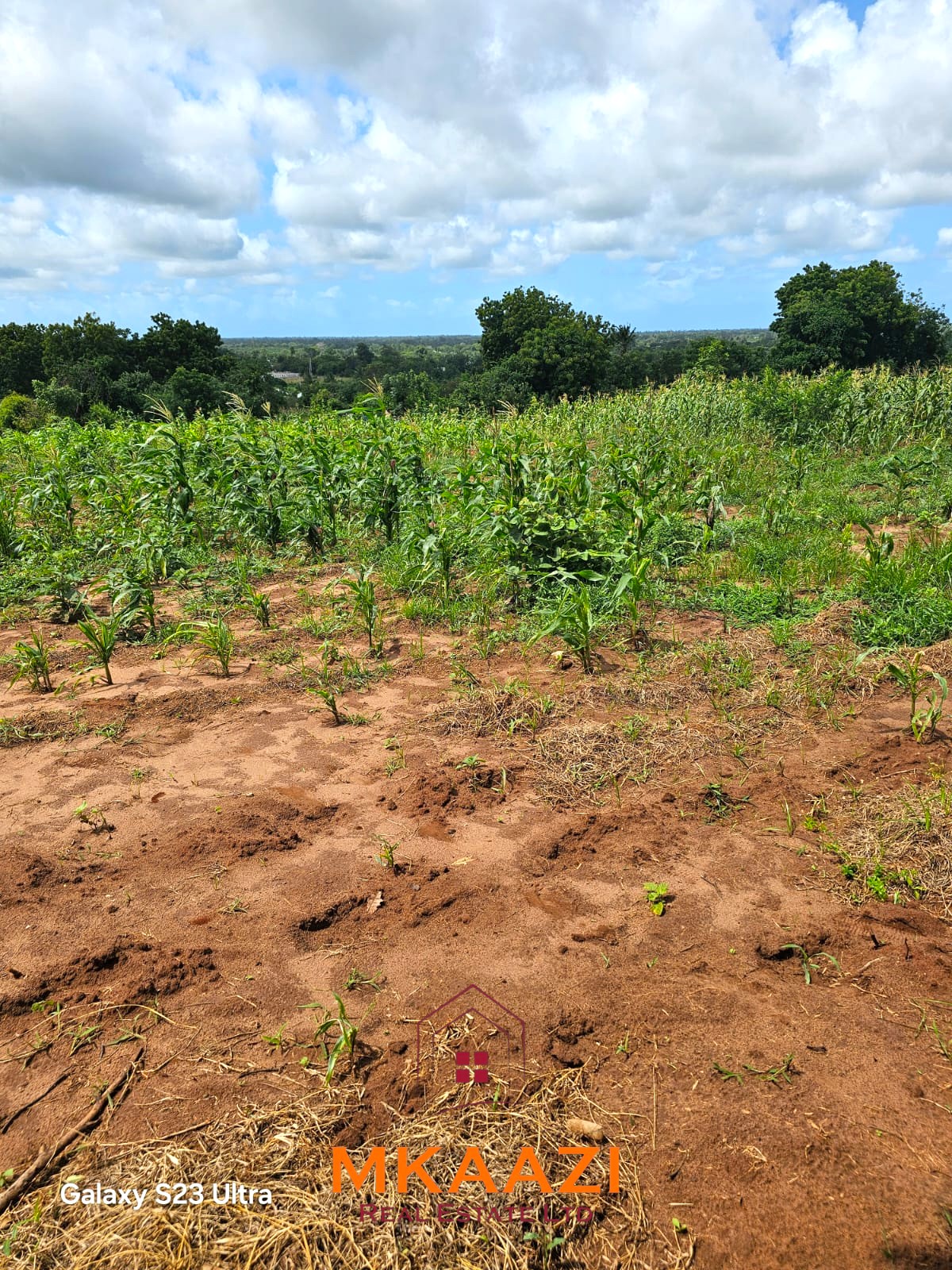 50×100 Plots for Sale in Kakuyuni | KES 499K 50×100 freehold plots for sale at Arabuko Heights Phase 3 in Kakuyuni with ready title deeds, piped water, easy road access, and beautiful views.