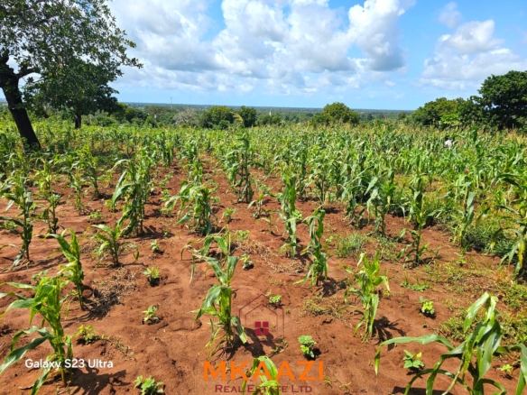 50×100 freehold plots for sale at Arabuko Heights Phase 3 in Kakuyuni with ready title deeds, piped water, easy road access, and beautiful views.