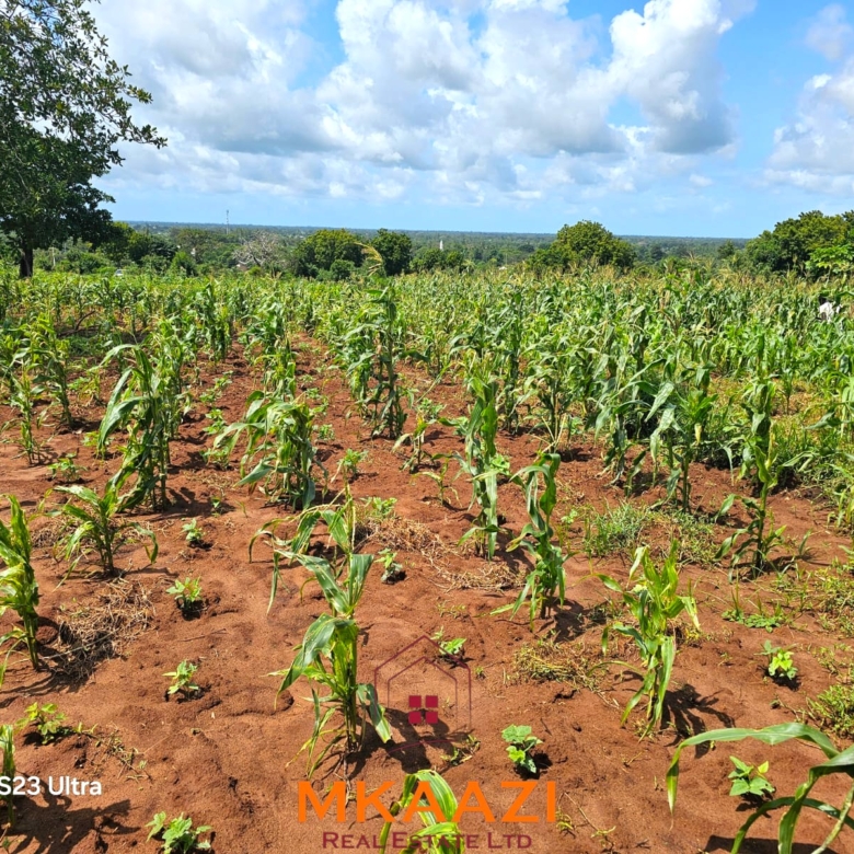 50×100 freehold plots for sale at Arabuko Heights Phase 3 in Kakuyuni with ready title deeds, piped water, easy road access, and beautiful views.