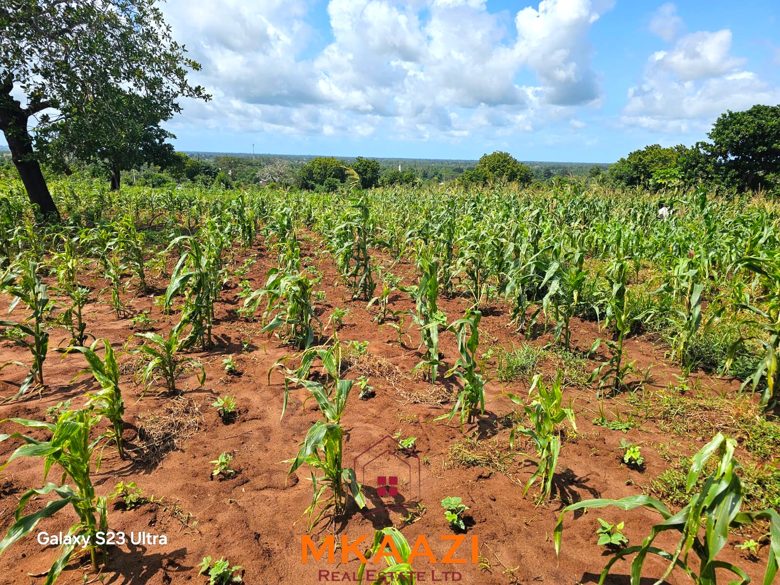 50×100 Plots for Sale in Kakuyuni | KES 499K 50×100 freehold plots for sale at Arabuko Heights Phase 3 in Kakuyuni with ready title deeds, piped water, easy road access, and beautiful views.