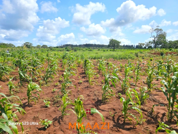 50×100 freehold plots for sale at Arabuko Heights Phase 3 in Kakuyuni with ready title deeds, piped water, easy road access, and beautiful views.