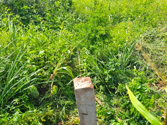 50×100 freehold plots for sale at Arabuko Heights Phase 3 in Kakuyuni with ready title deeds, piped water, easy road access, and beautiful views.