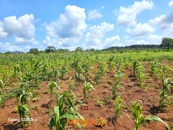 50×100 freehold plots for sale at Arabuko Heights Phase 3 in Kakuyuni with ready title deeds, piped water, easy road access, and beautiful views.