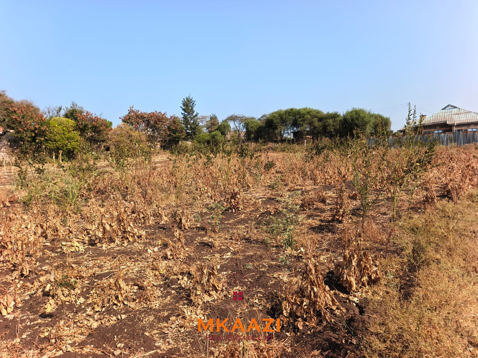 0.786 Acre Land for Sale in Matuu | KES 5.5M 0.786-acre land for sale in Matuu near Matuu Police Station, Brilliant Supermarket, schools, hospital, hotels and other key amenities. Asking KES 5.5M.