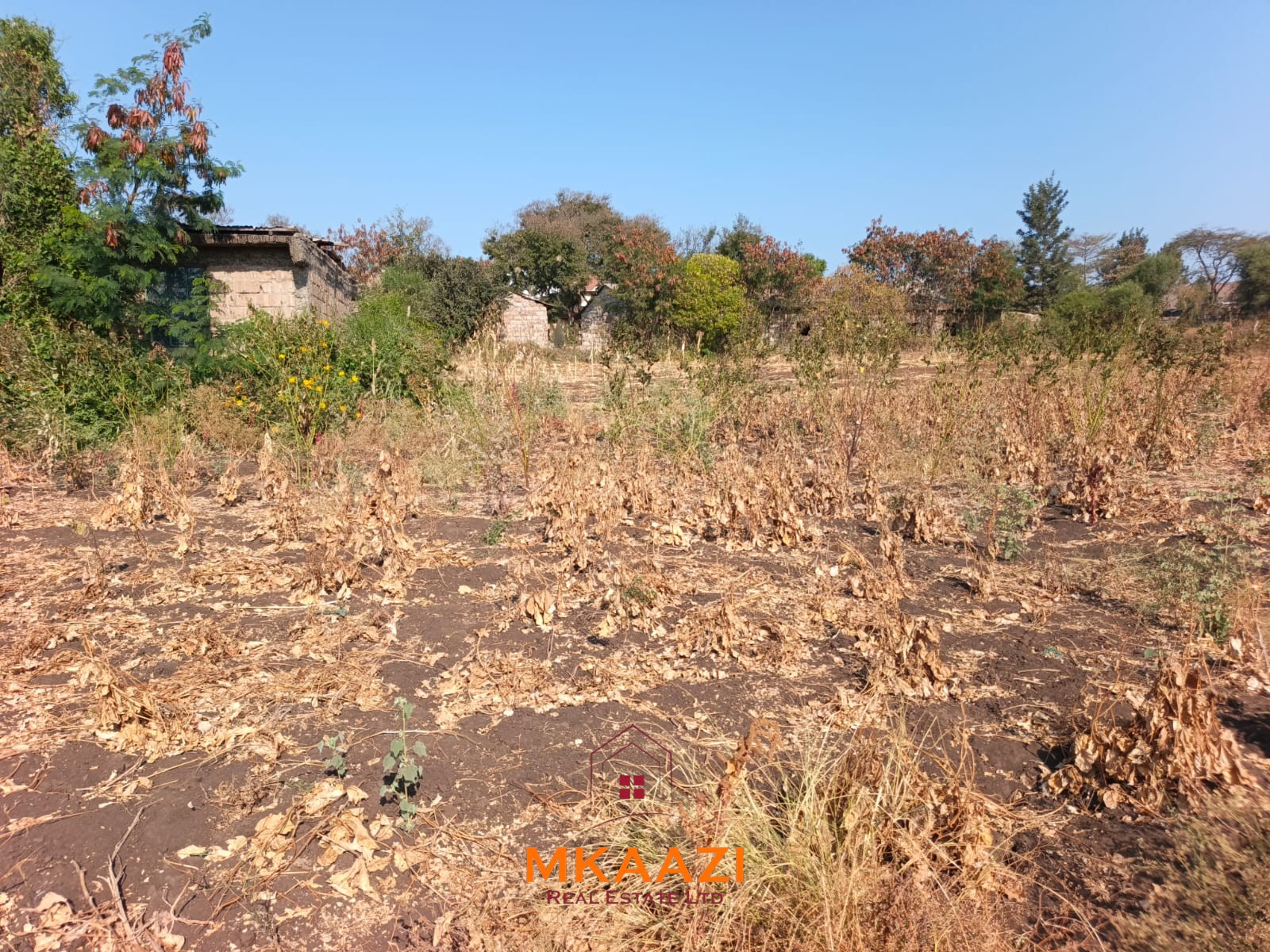 0.786 Acre Land for Sale in Matuu | KES 5.5M 0.786-acre land for sale in Matuu near Matuu Police Station, Brilliant Supermarket, schools, hospital, hotels and other key amenities. Asking KES 5.5M.