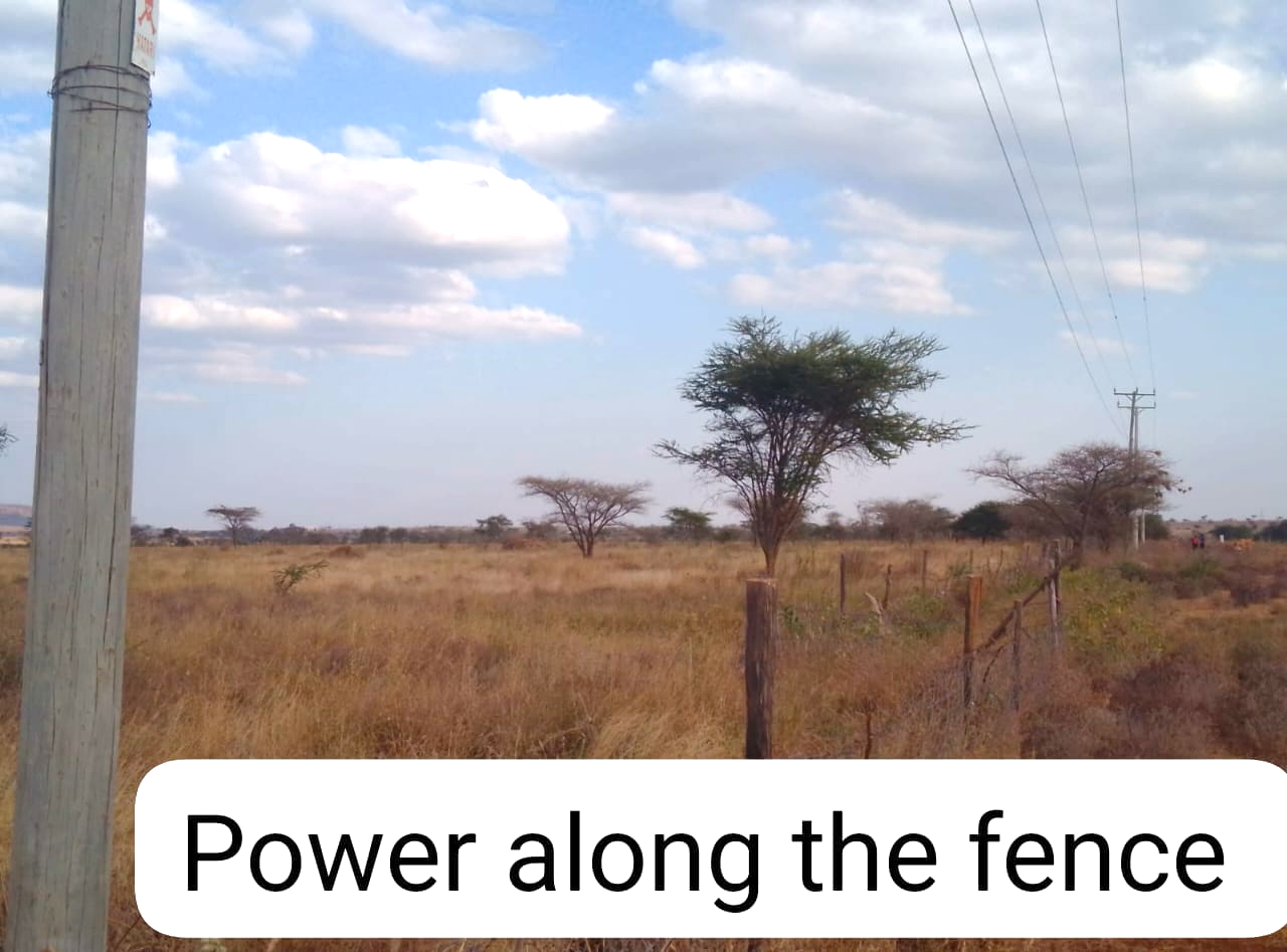 50×100 Plots for Sale at Titeeyio Hub | KES 700K 50×100 plots for sale at 10514 Titeeyio Hub along Emai–Loitoktok Road, 2km from Duka Moja. Ready title deeds, highway access and utilities underway.