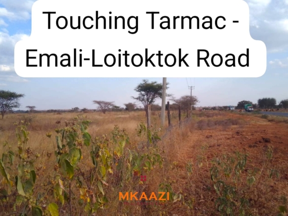 50×100 plots for sale at 10514 Titeeyio Hub along Emai–Loitoktok Road, 2km from Duka Moja. Ready title deeds, highway access and utilities underway.