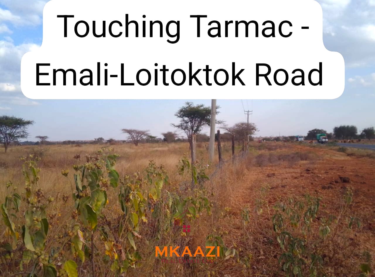 50×100 Plots for Sale at Titeeyio Hub | KES 700K 50×100 plots for sale at 10514 Titeeyio Hub along Emai–Loitoktok Road, 2km from Duka Moja. Ready title deeds, highway access and utilities underway.