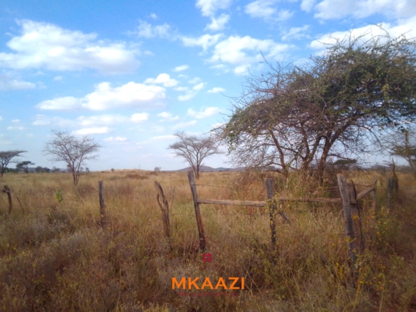 50×100 plots for sale at 10514 Titeeyio Hub along Emai–Loitoktok Road, 2km from Duka Moja. Ready title deeds, highway access and utilities underway.