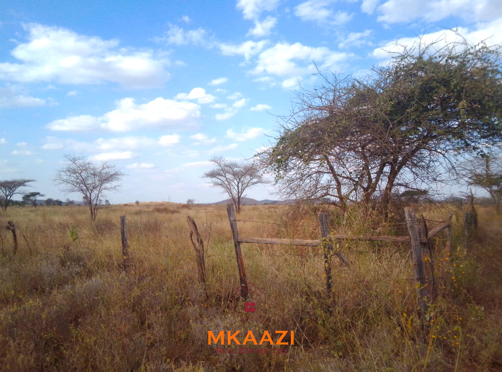 50×100 Plots for Sale at Titeeyio Hub | KES 700K 50×100 plots for sale at 10514 Titeeyio Hub along Emai–Loitoktok Road, 2km from Duka Moja. Ready title deeds, highway access and utilities underway.