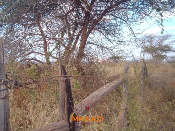 50×100 plots for sale at 10514 Titeeyio Hub along Emai–Loitoktok Road, 2km from Duka Moja. Ready title deeds, highway access and utilities underway.
