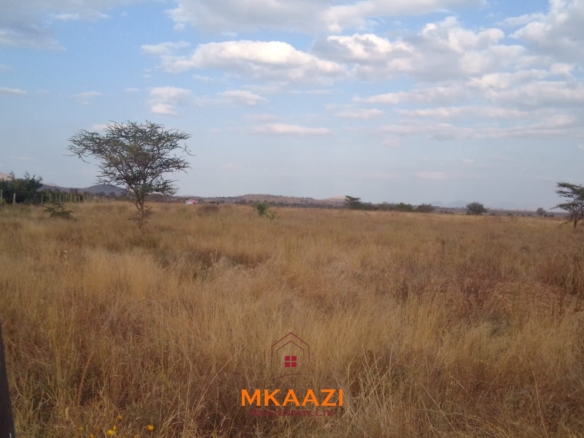 50×100 plots for sale at 10514 Titeeyio Hub along Emai–Loitoktok Road, 2km from Duka Moja. Ready title deeds, highway access and utilities underway.