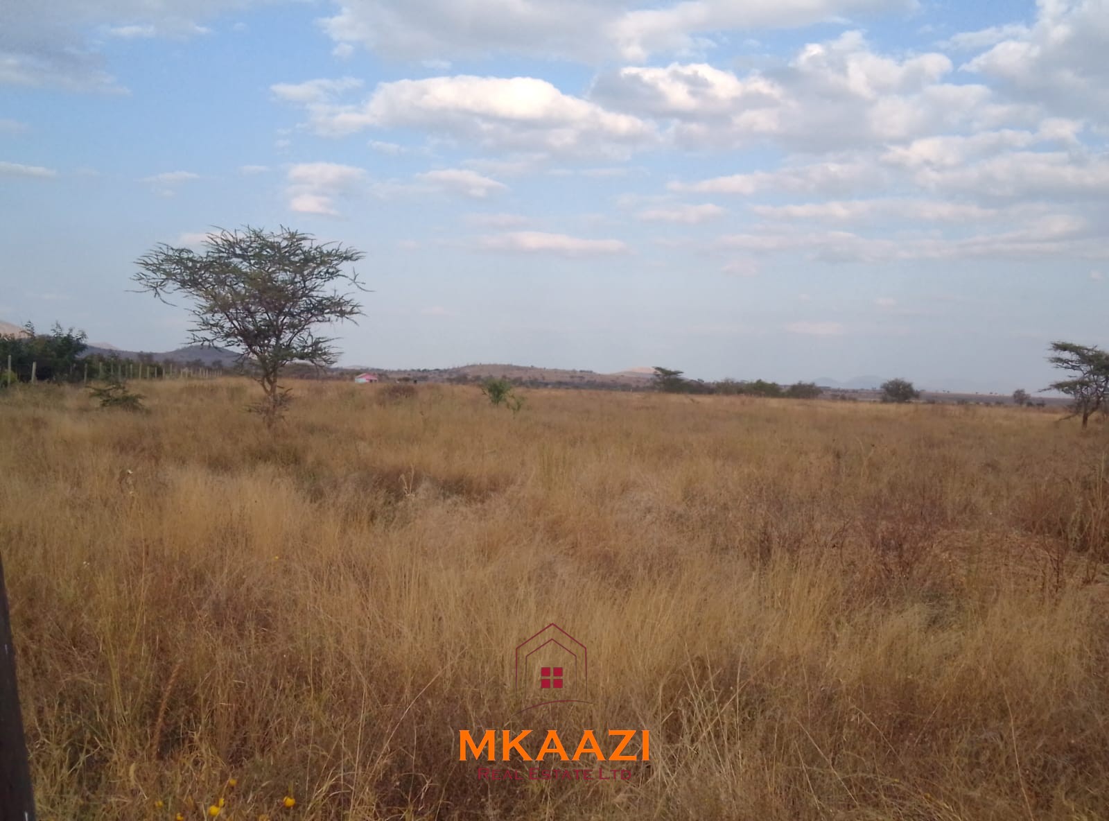 50×100 Plots for Sale at Titeeyio Hub | KES 700K 50×100 plots for sale at 10514 Titeeyio Hub along Emai–Loitoktok Road, 2km from Duka Moja. Ready title deeds, highway access and utilities underway.