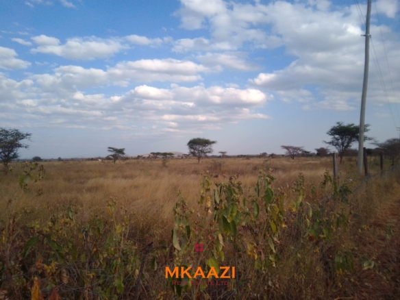 50×100 plots for sale at 10514 Titeeyio Hub along Emai–Loitoktok Road, 2km from Duka Moja. Ready title deeds, highway access and utilities underway.