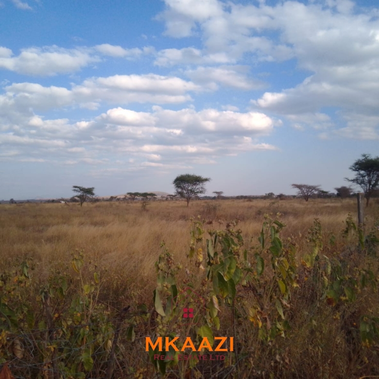50×100 plots for sale at 10514 Titeeyio Hub along Emai–Loitoktok Road, 2km from Duka Moja. Ready title deeds, highway access and utilities underway.