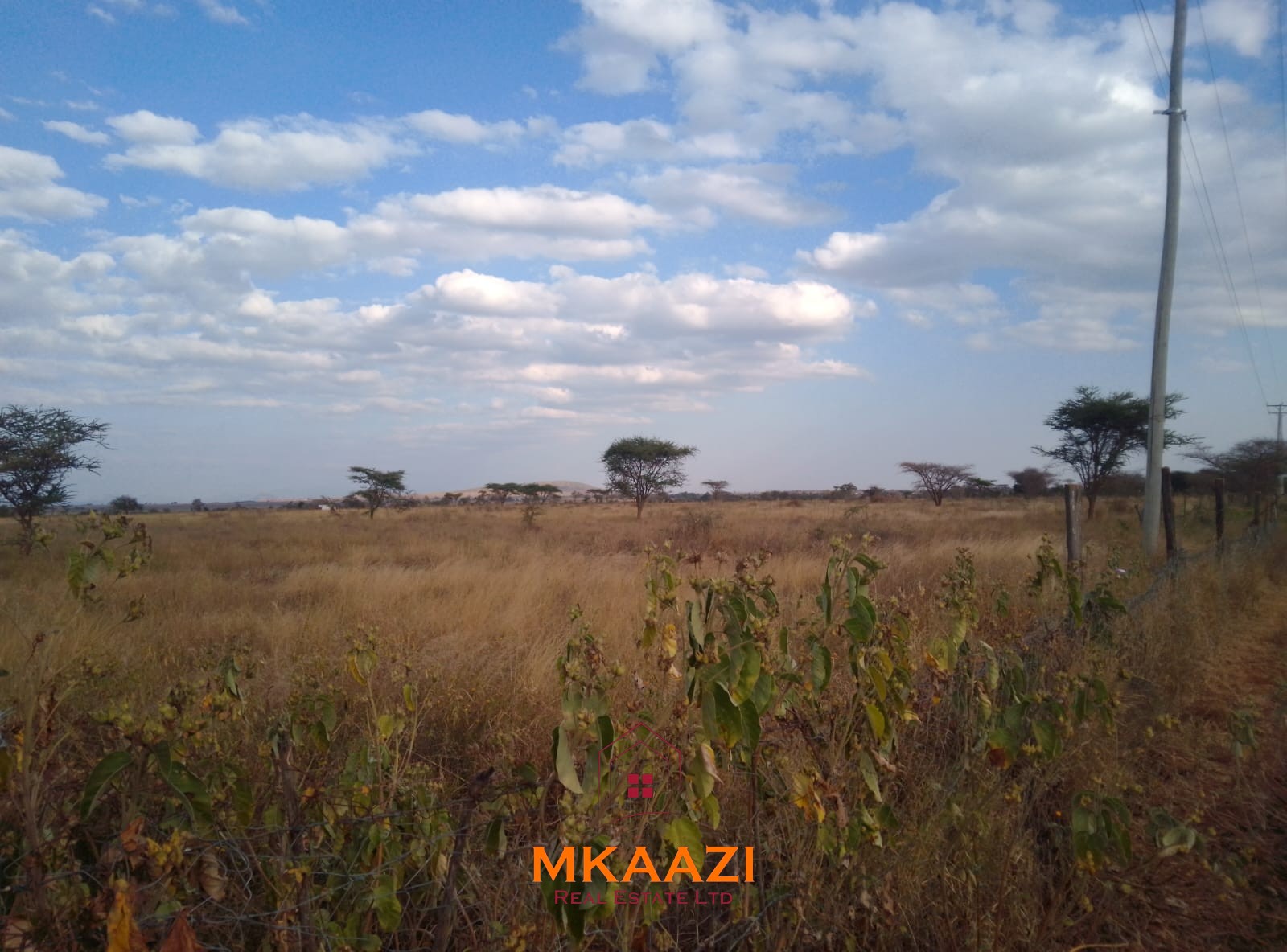 50×100 Plots for Sale at Titeeyio Hub | KES 700K 50×100 plots for sale at 10514 Titeeyio Hub along Emai–Loitoktok Road, 2km from Duka Moja. Ready title deeds, highway access and utilities underway.